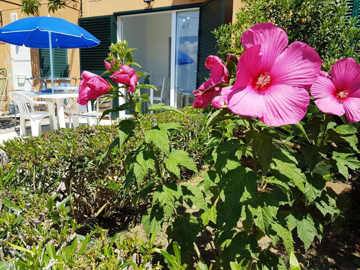 Blue Diamond Apartment Parghelia Exterior foto